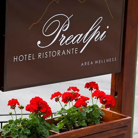 Hotel Prealpi 3*
